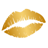 ATTRACTION DR. logo